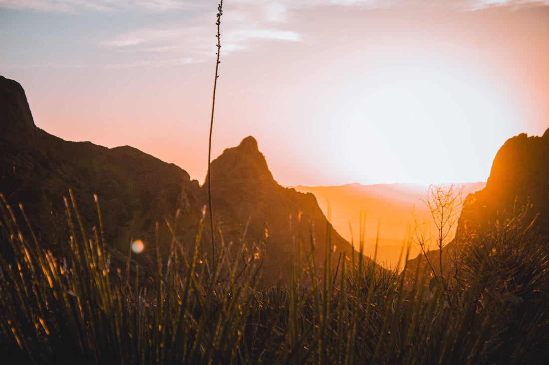 The Pursuit of Freedom: Freedom, Responsibility, and What Comes Next